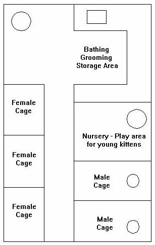 how to start a breeding cattery