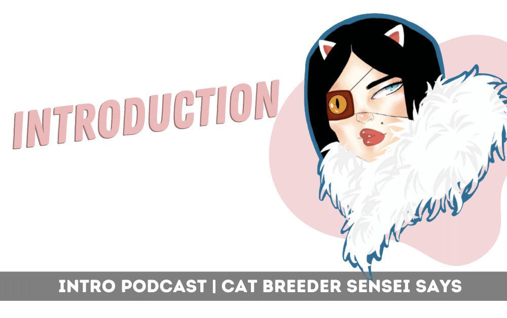 who is cat breeder sensei