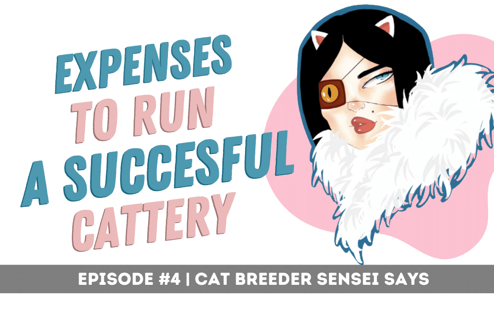 expenses to run cattery