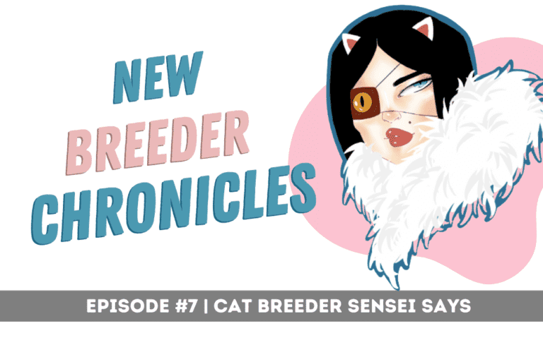 new cat breeder chronicales