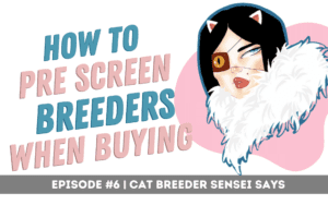 pre screening breeders