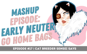 early spay and neuter podcast mashup