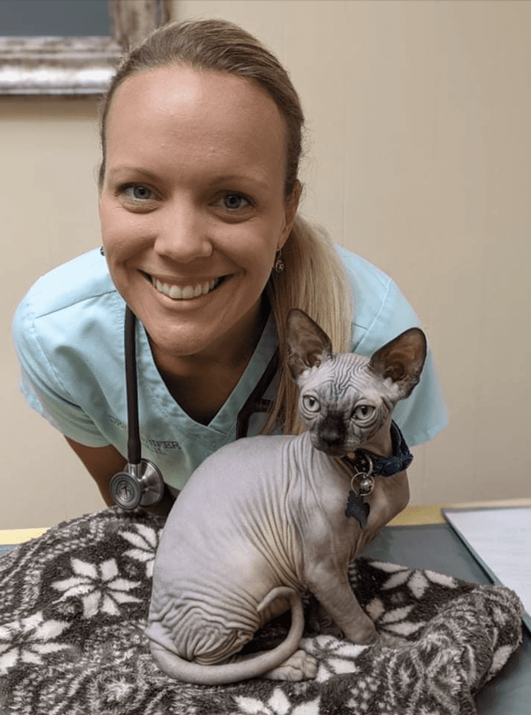 when to take cat to emergency vet