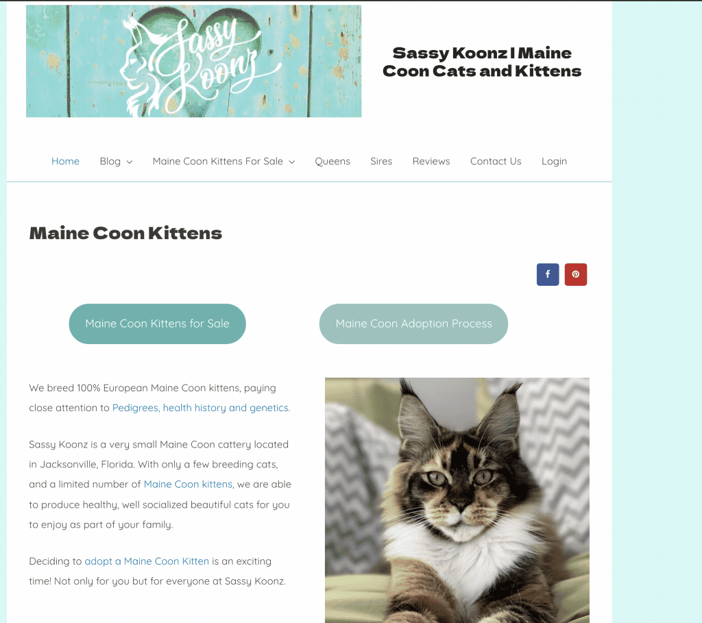 cattery website
