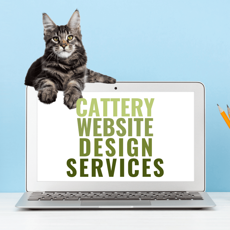 cattery website design