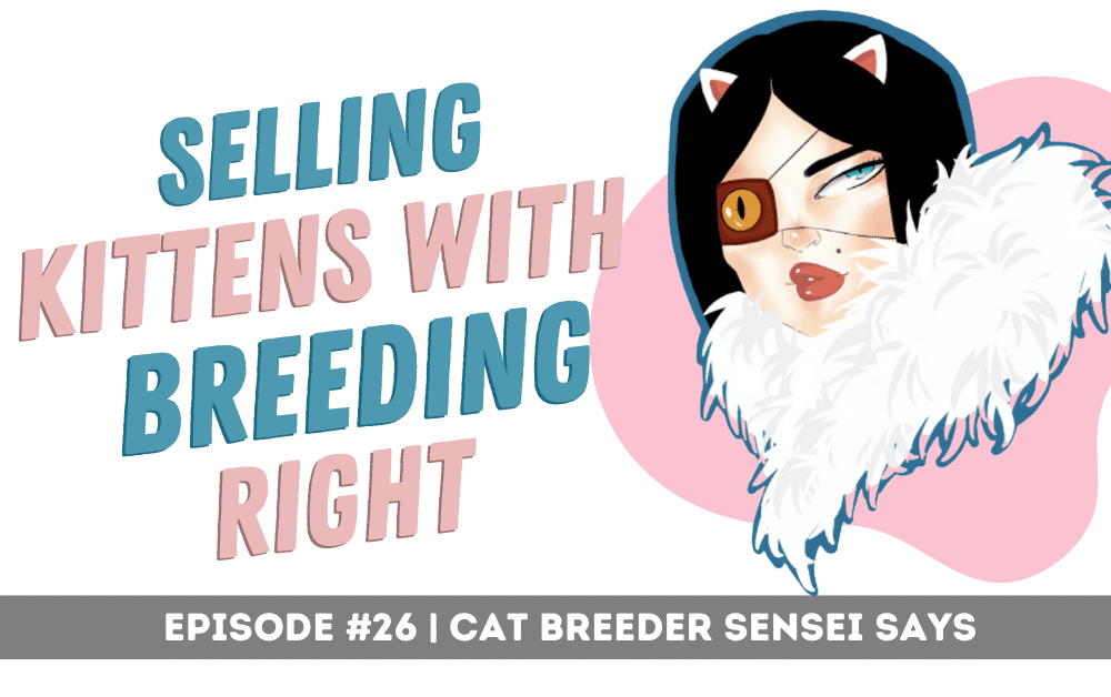 kittens with breeding rights