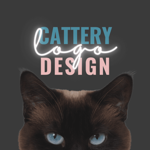 custom cattery logo design