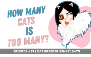 too many cats episode 29