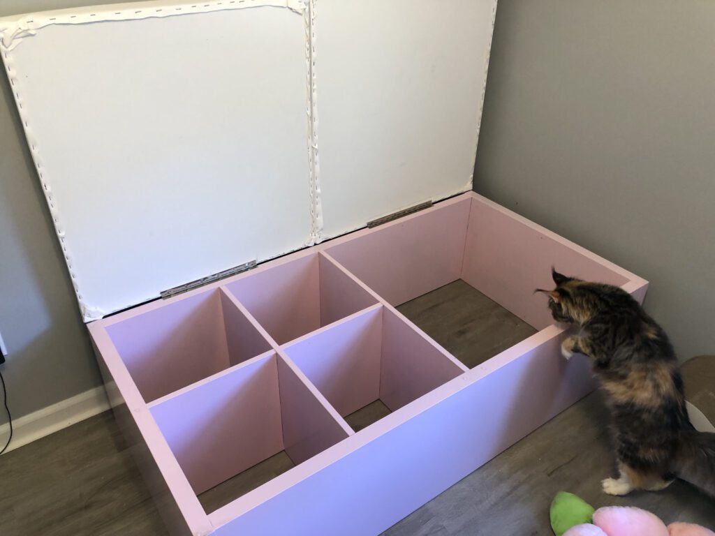 how big should a cat birthing box be