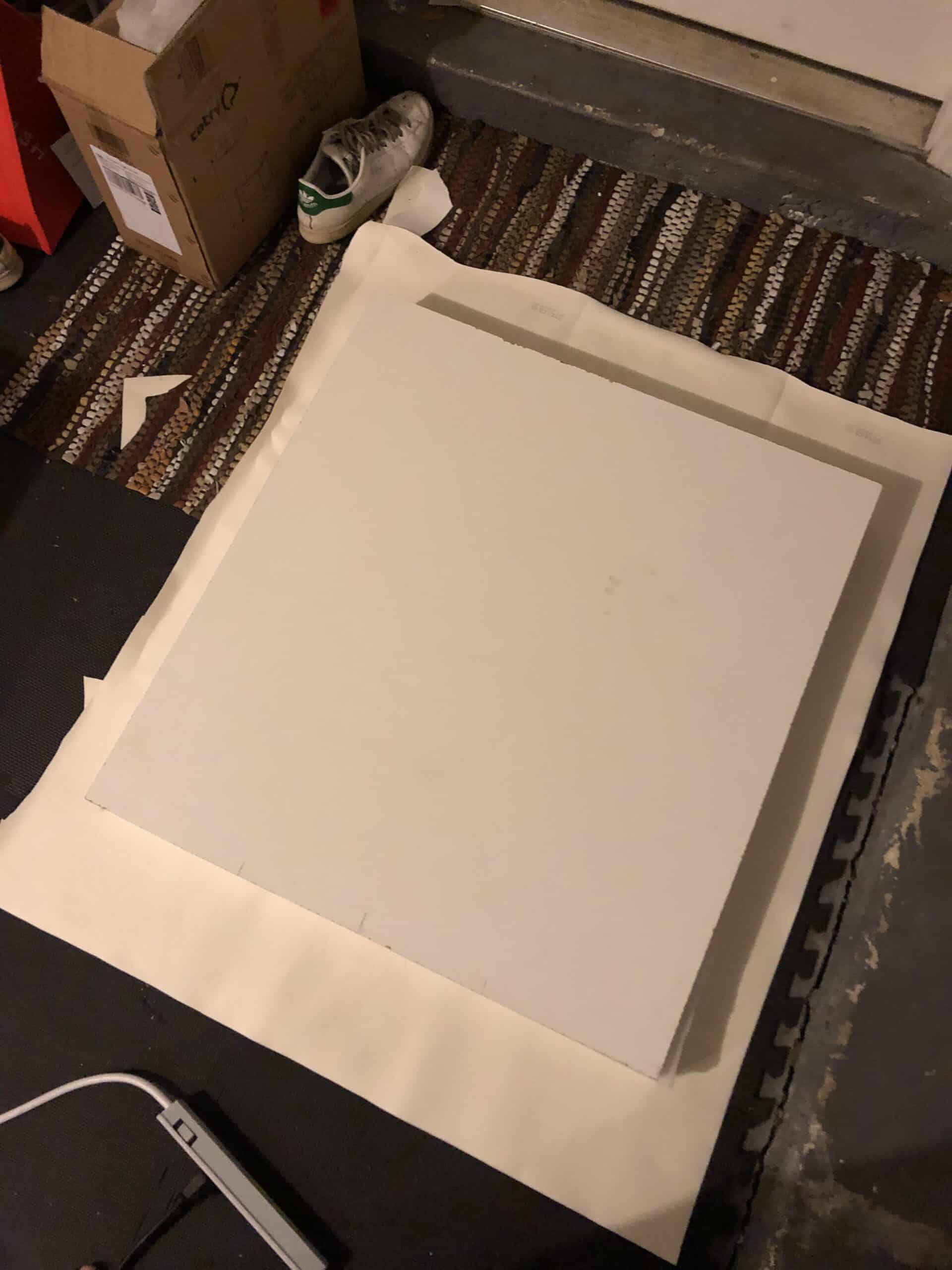 How to Make a Cat Birthing Box DIY for Cat Breeders