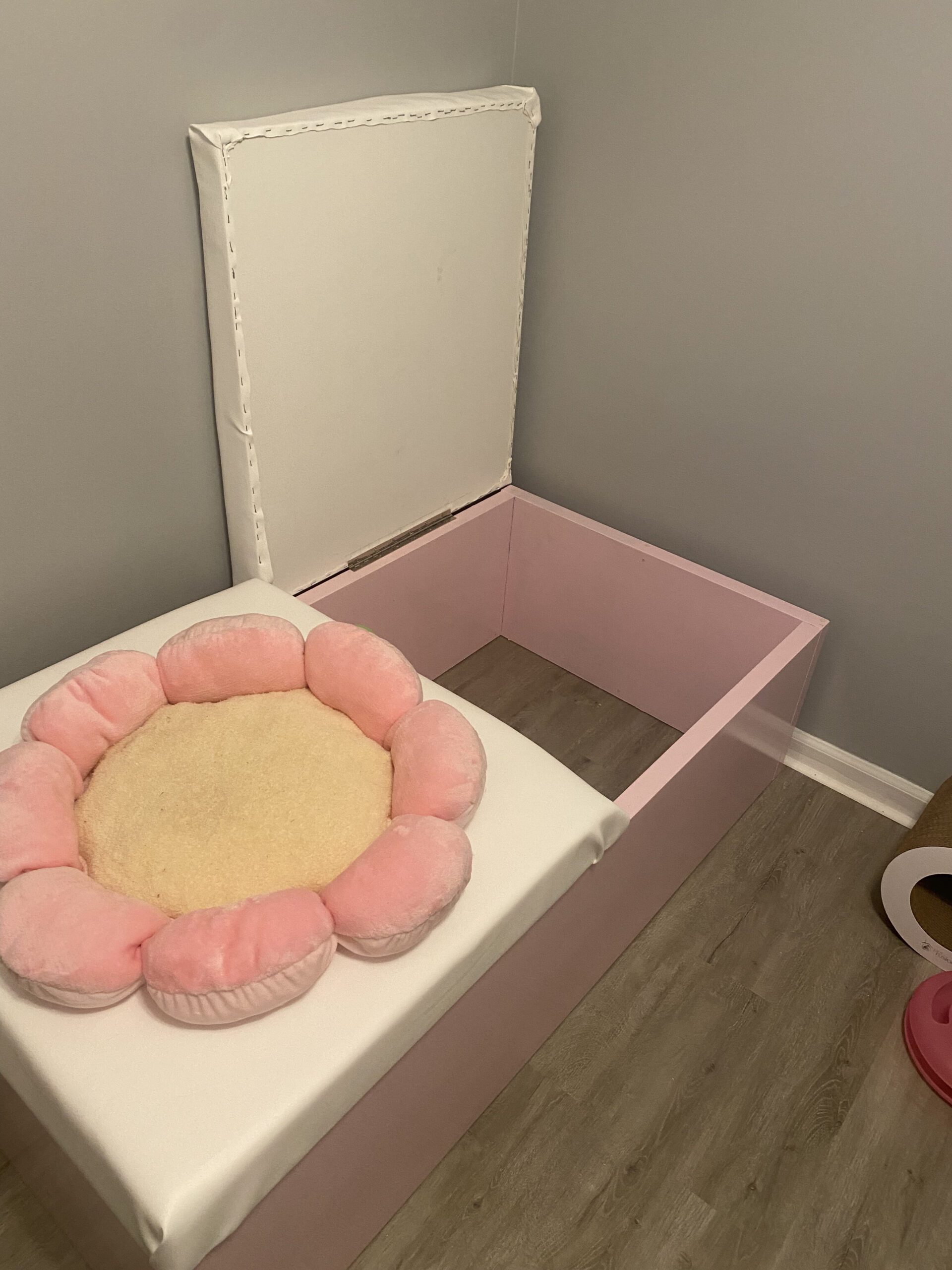 How to Make a Cat Birthing Box DIY for Cat Breeders