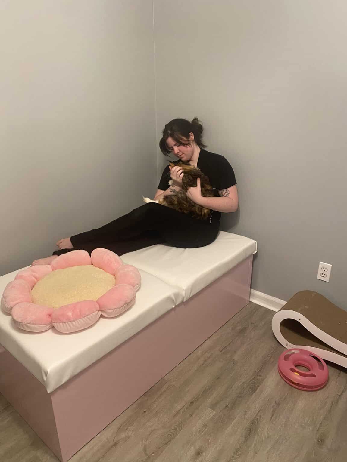 How to Make a Cat Birthing Box DIY for Cat Breeders