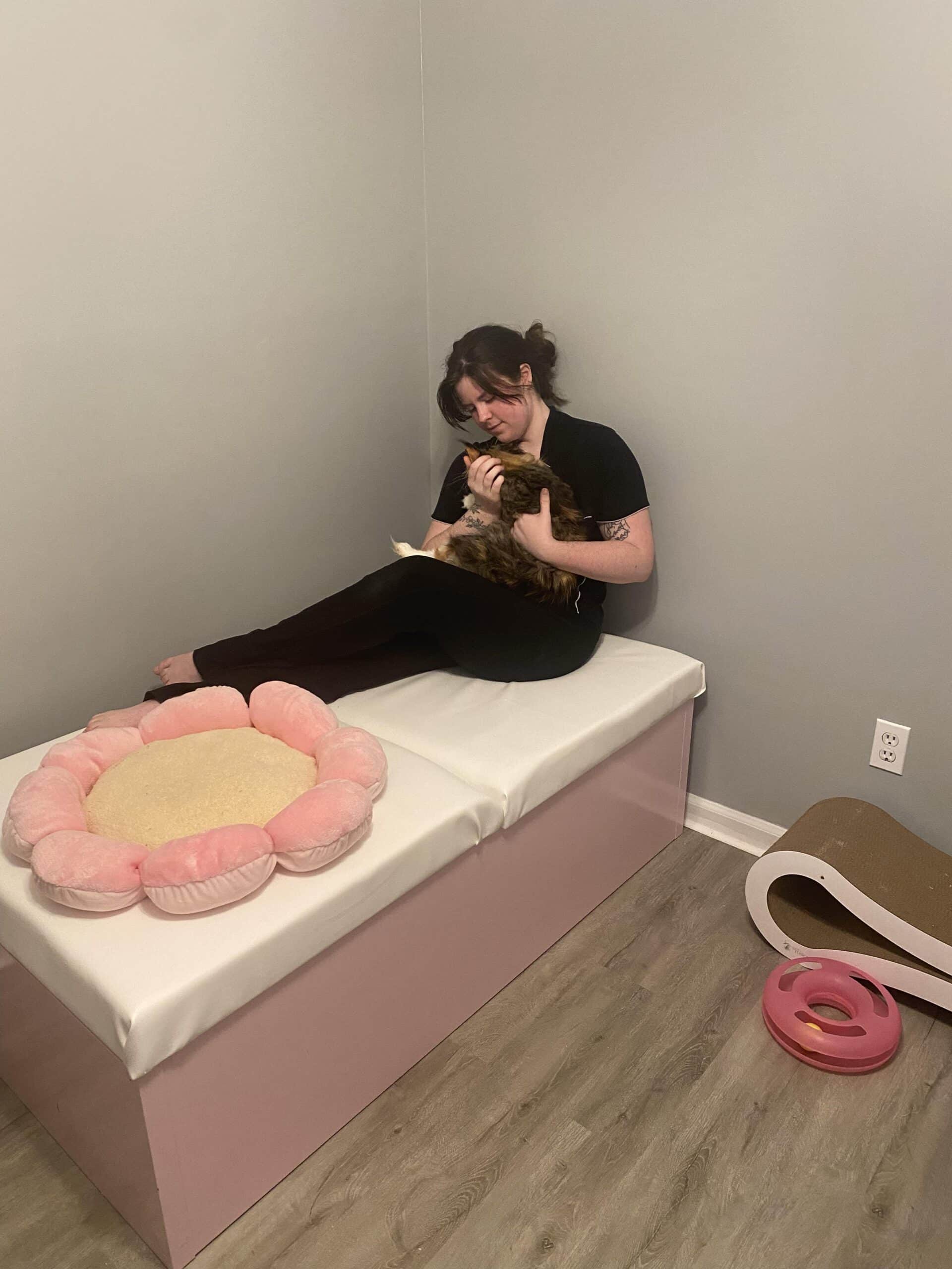 How to Make a Cat Birthing Box DIY for Cat Breeders