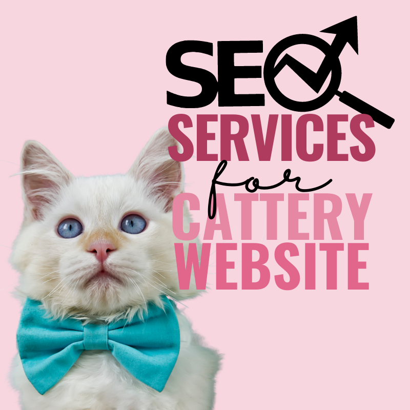 cattery website SEO