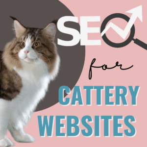seo services for cat breeders