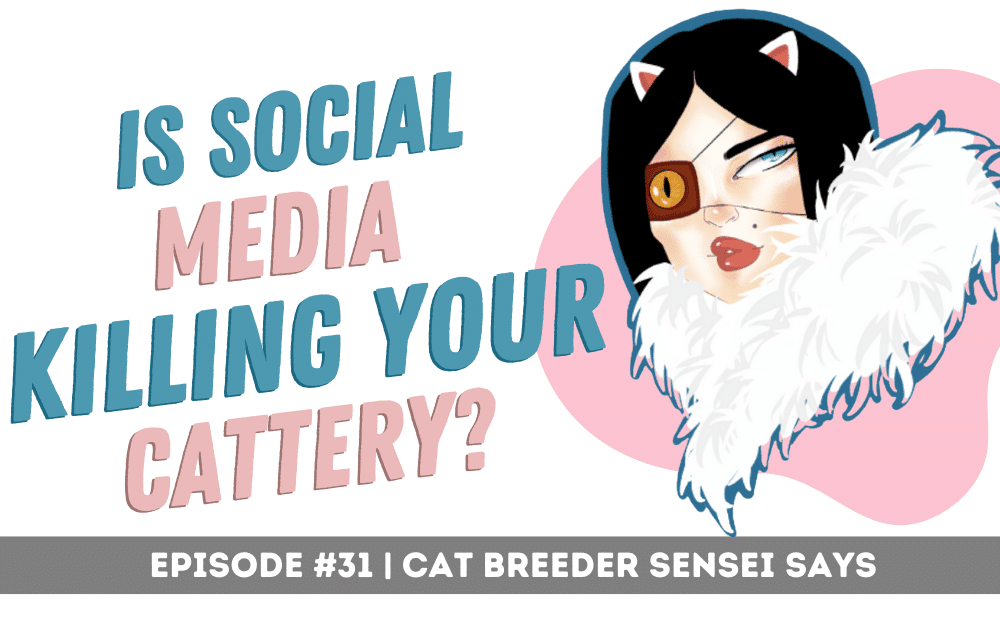 is social media killing your cattery podcast 31