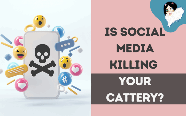 social media marketing killing your cattery featured image