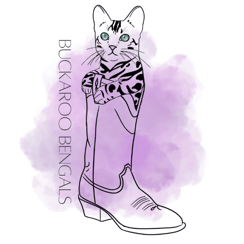 cattery logo