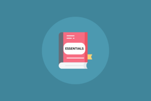 Cattery Essentials Guide