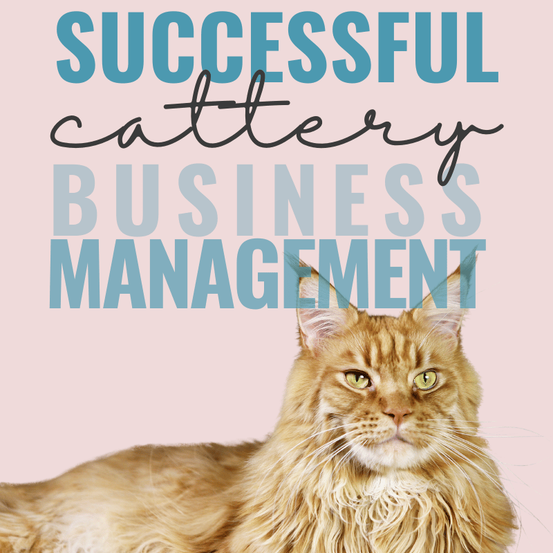 cattery business management