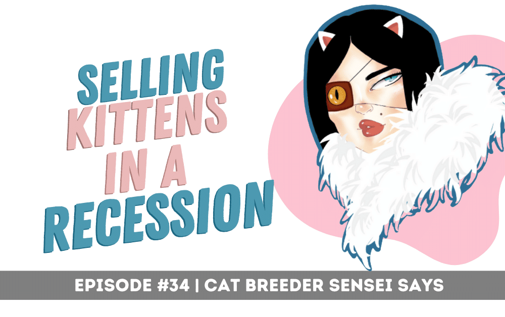 selling kittens in a recession podcast episode 34
