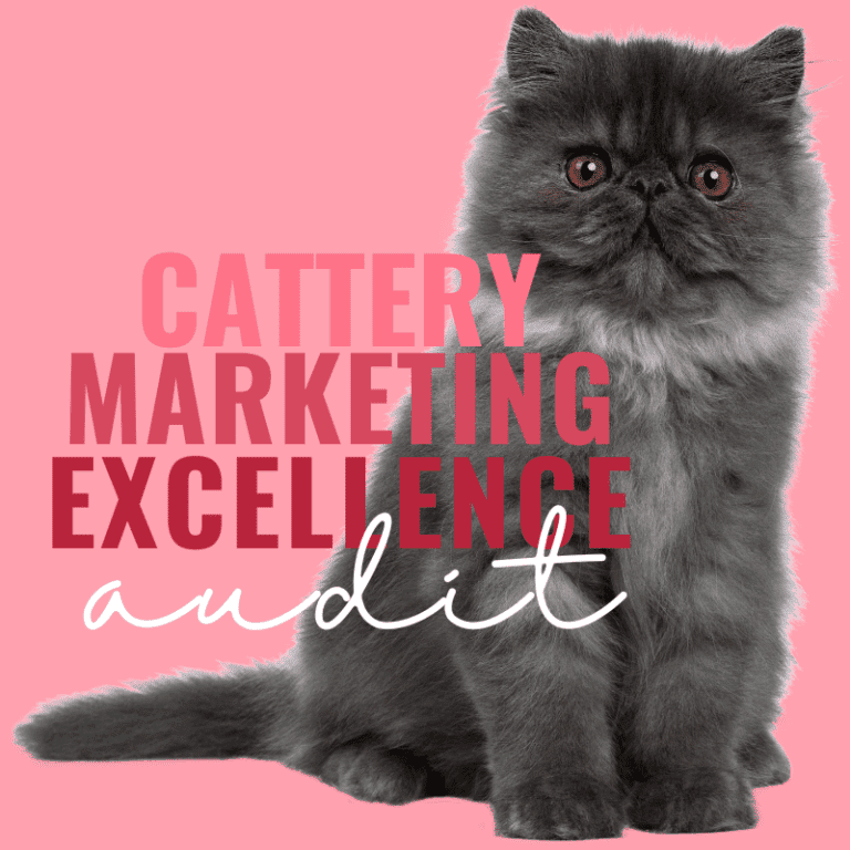 Cattery Marketing Excellence Audit