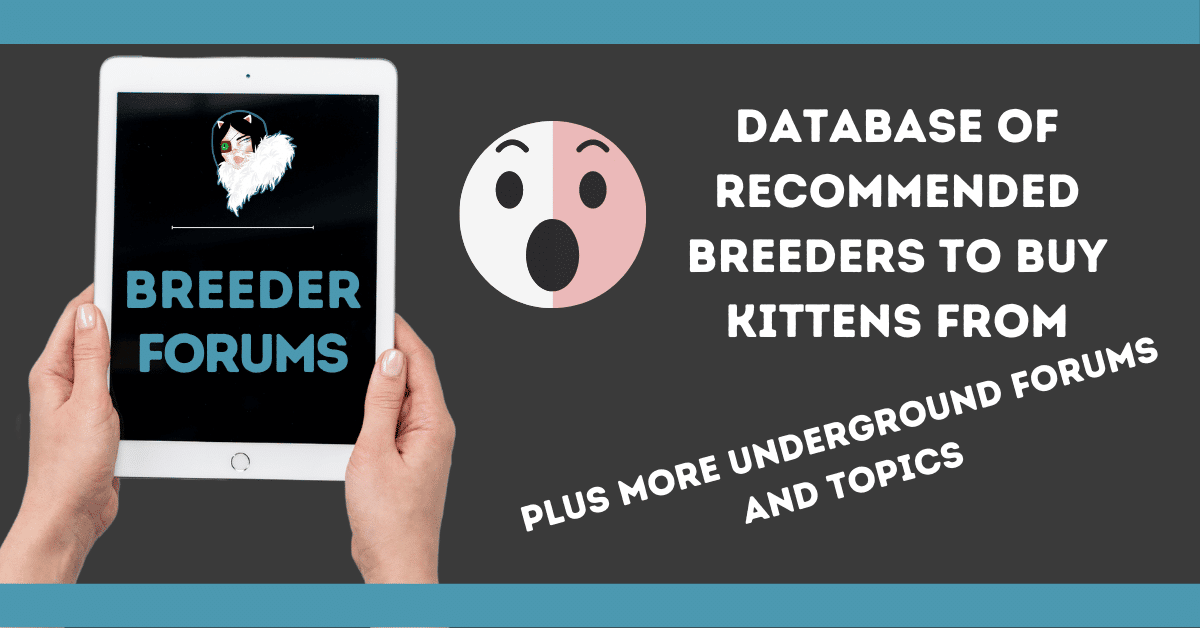 Free Courses and Resources for Cat Breeders Cat Breeder Sensei