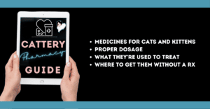 cattery pharmacy guide