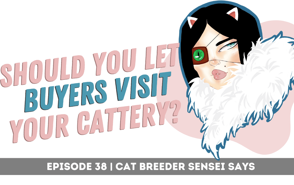 should you let buyers visit your cattery