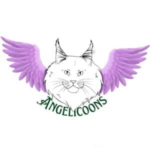 cat breeder senseu logo angelicoons