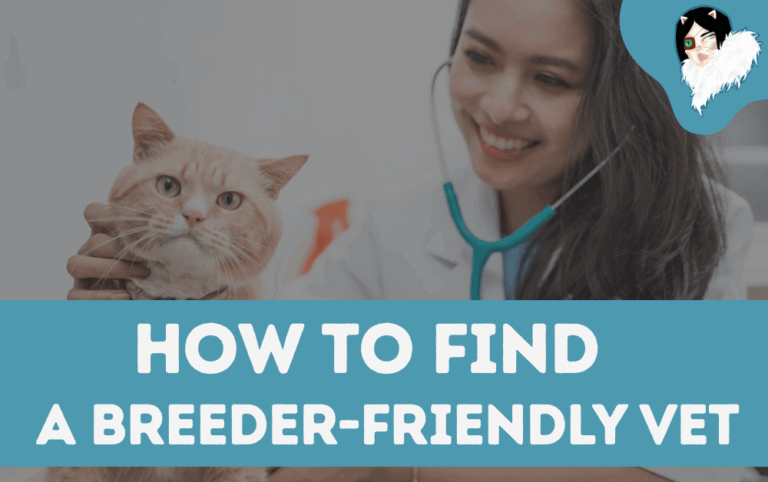 how to find a breeder friendly vet
