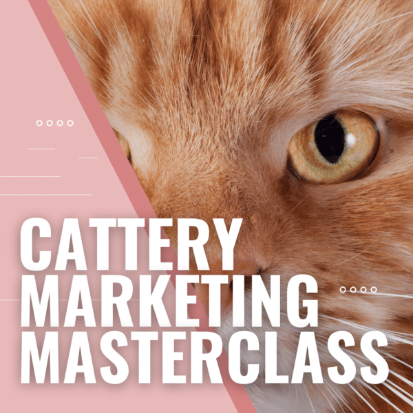 cattery marketing masterclass