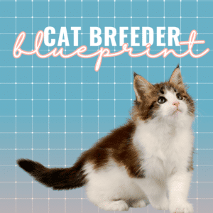Cat Breeder Blueprint