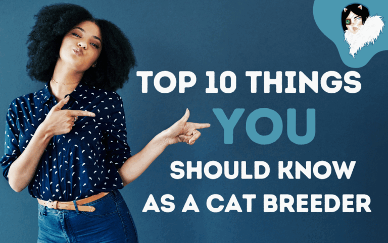 things every cat breeder should know featured image