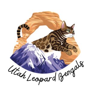 utah leopard bengals logo