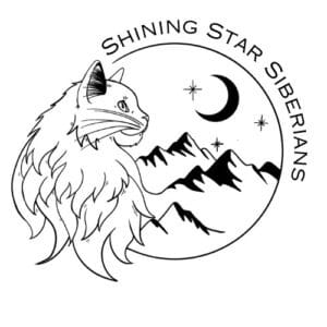 shining star siberian logo