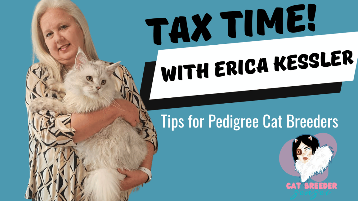 tax time with erica kessler