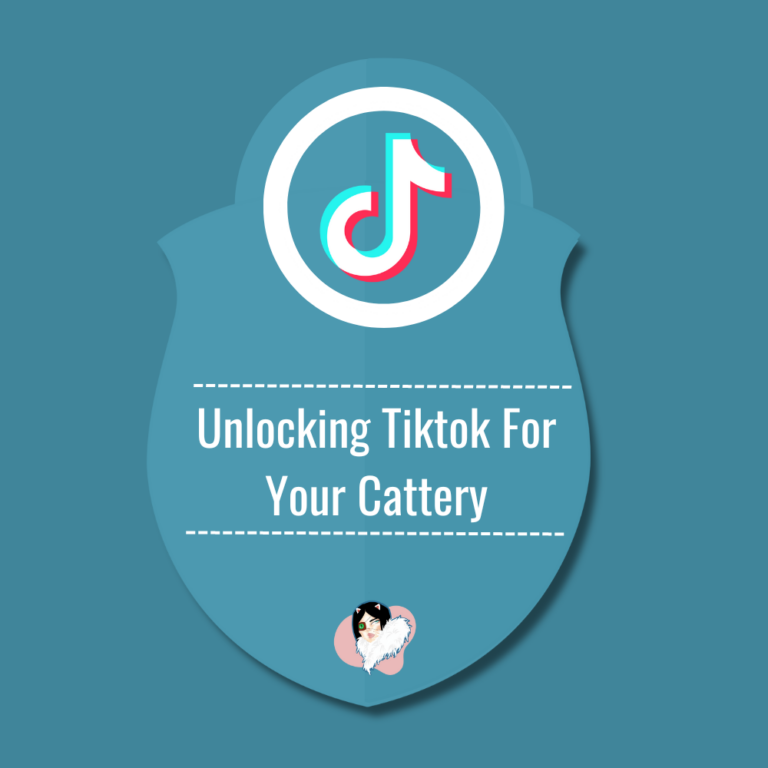 Unlocking TikTok For Your Cattery