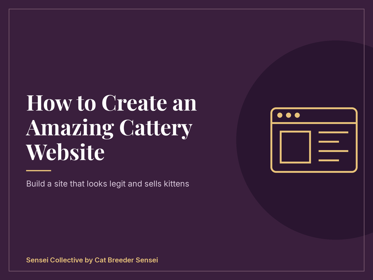 How To Create An Amazing Cattery Website