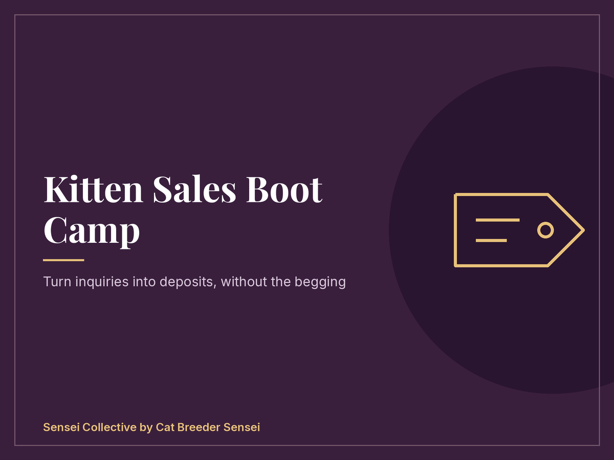 Kitten Sales Boot Camp