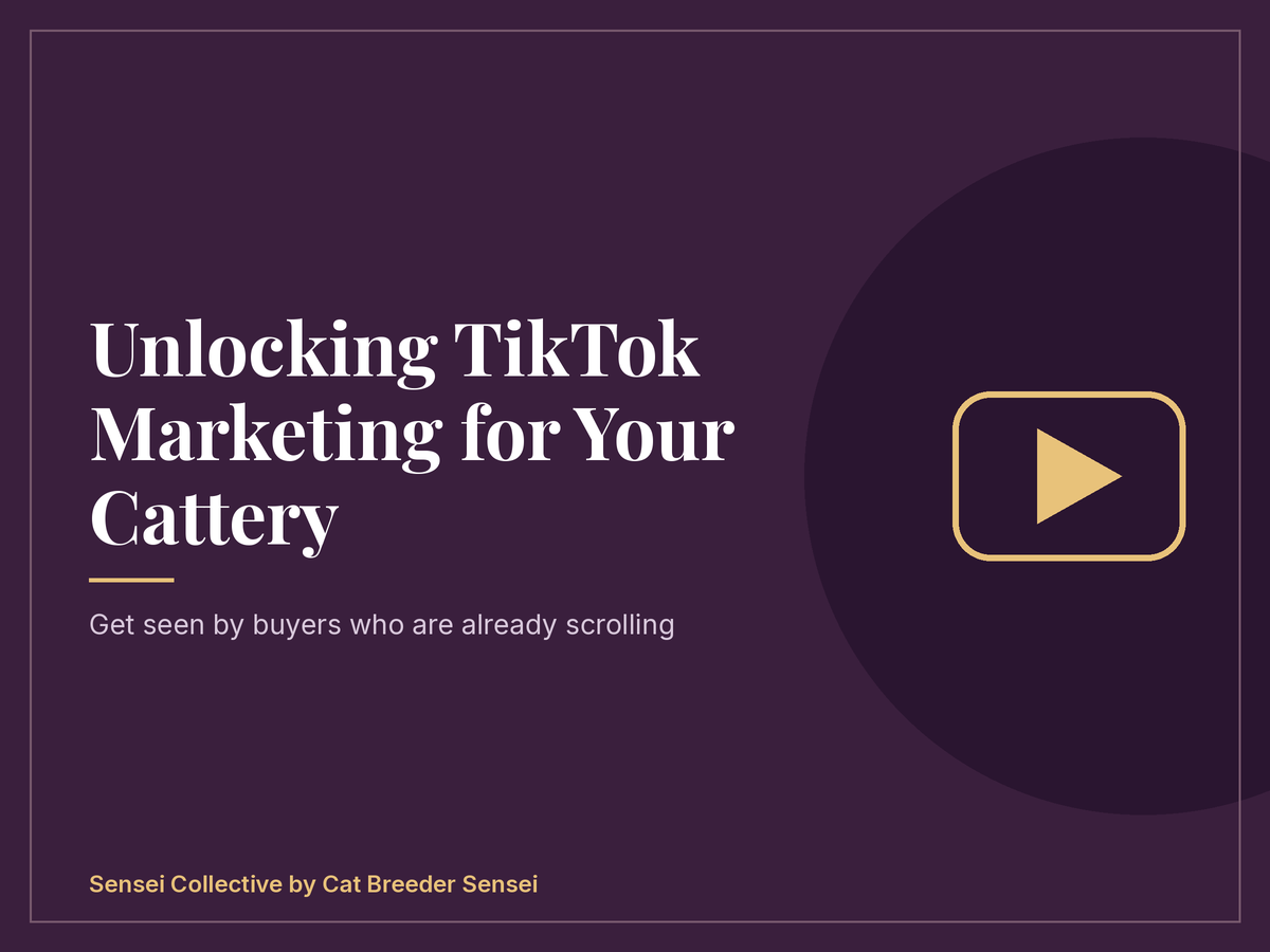 Unlocking TikTok For Your Cattery