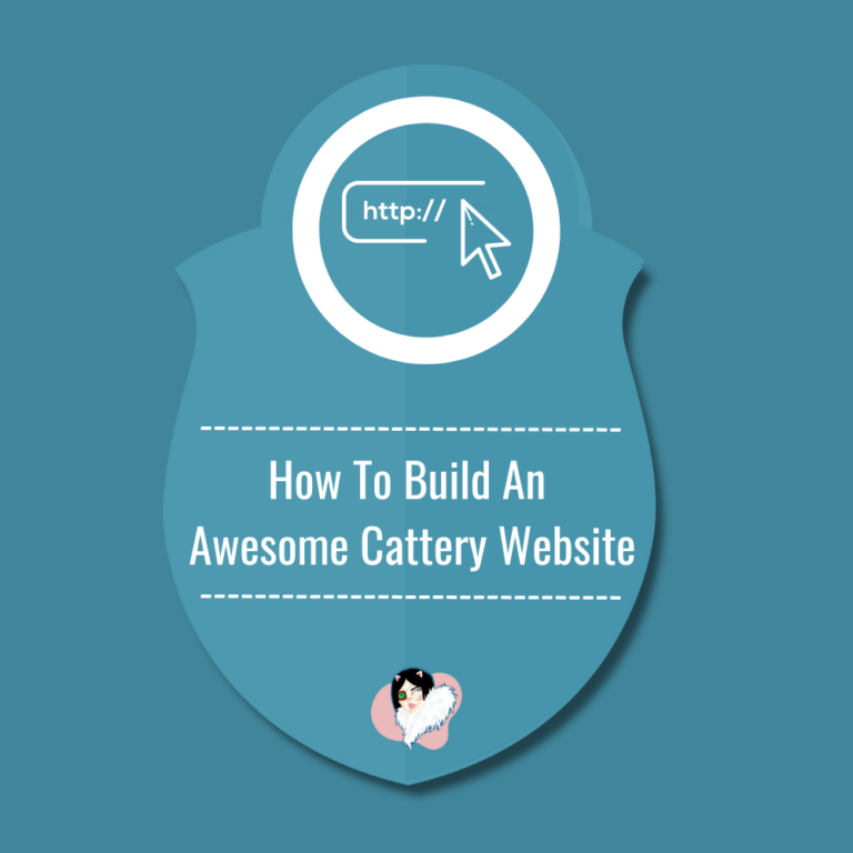 How To Create An Amazing Cattery Website