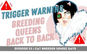 podcast breeding cats back to back