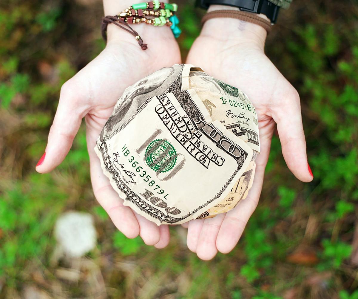 Cat breeder holding money in her hand after getting paid for a kitten