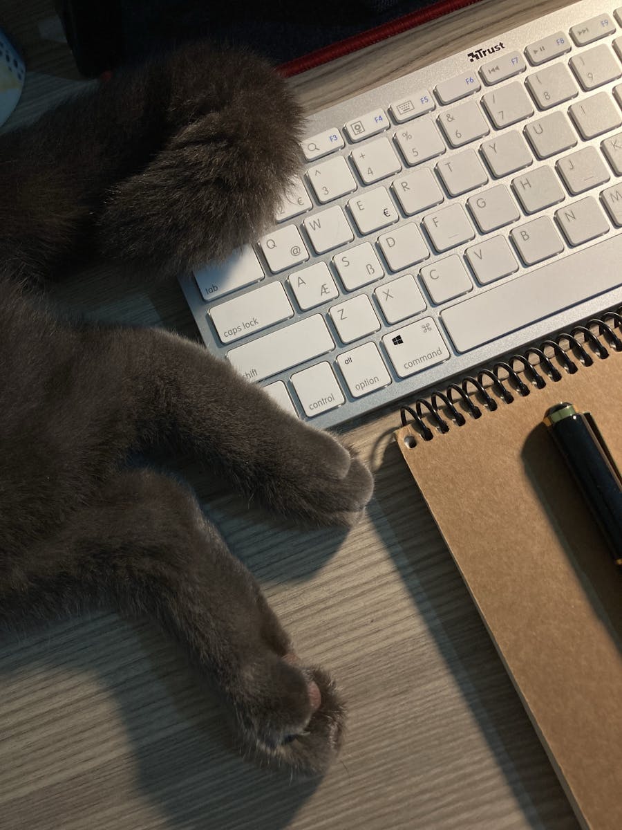 Cute cat paws resting on a keyboard next to a notebook and pen, shot from above.
