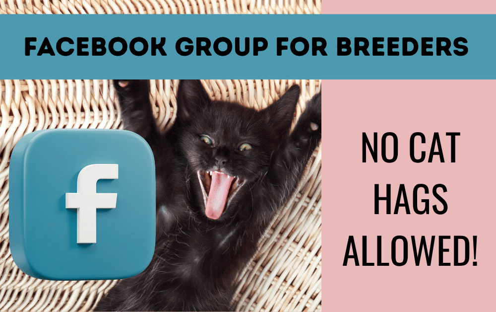 facebook group for cat breeders