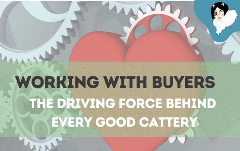 working with kitten buyers featured image