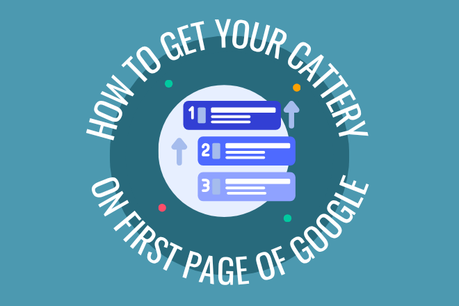 how to get your cattery on the first page of google