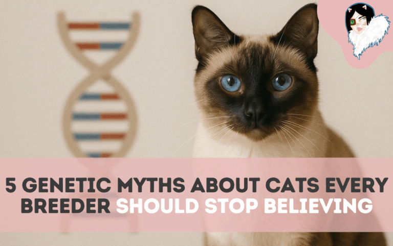 5 genetics myths about cats every breeder should stop believing