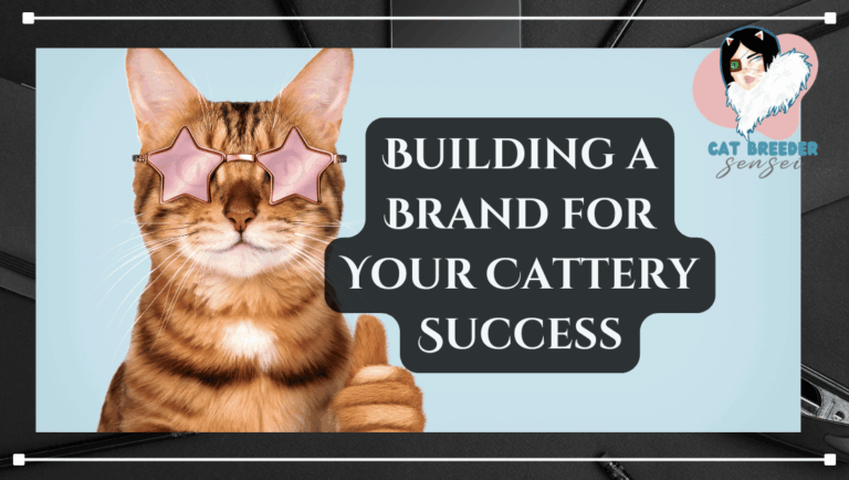 building a cattery brand